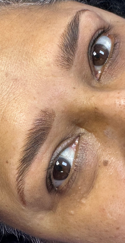 Brow Lamination + Tint at FACED By Aimz in Philadelphia, PA