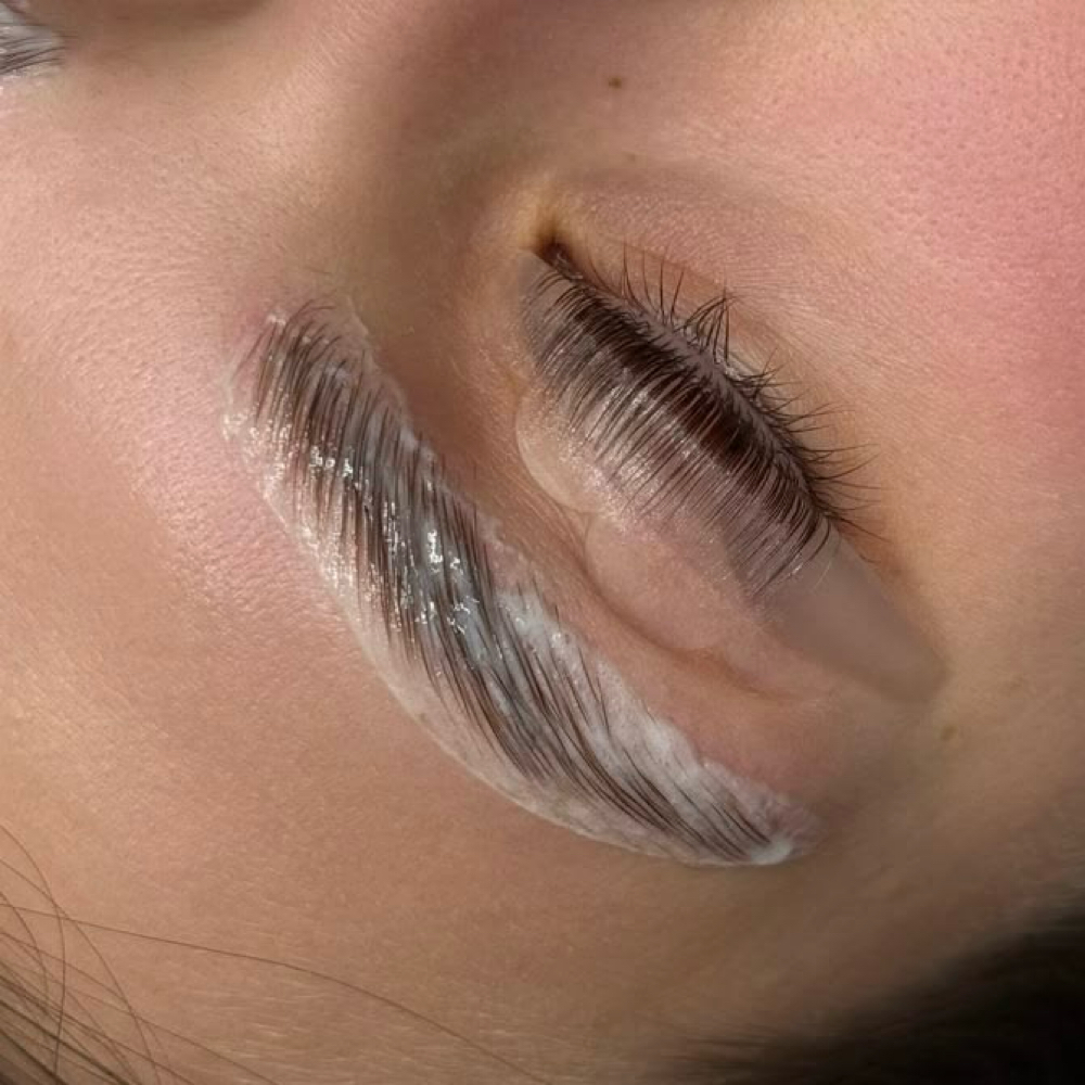BROW + LASH: FALL BUNDLE at BROWS + BEYOND in Woodhaven, MI