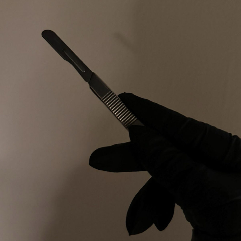 GlowHaus Express Dermaplane Facial at GlowHaus Aesthetic in Medford, OR