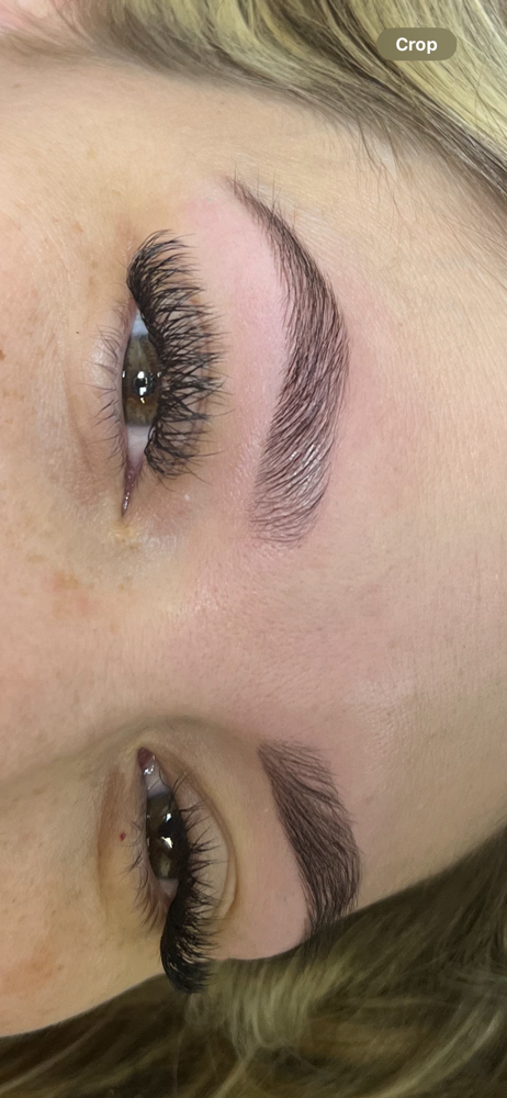 Eyebrow Lamination