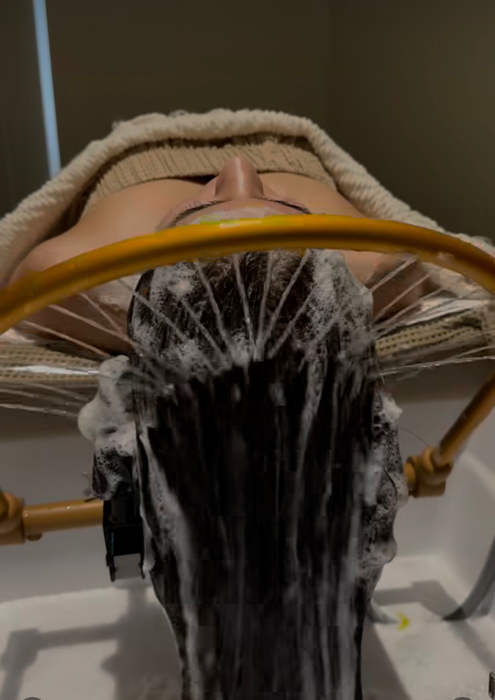 𝐇𝐎𝐔𝐒𝐄 𝐇𝐄𝐀𝐃 𝐒𝐏𝐀