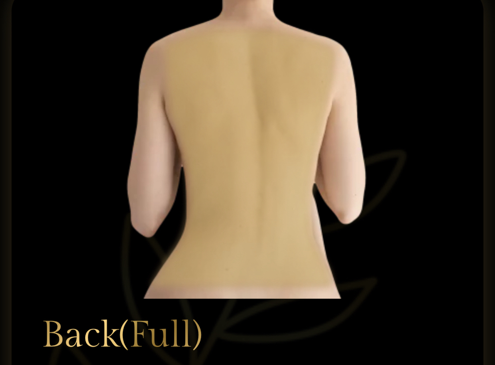 Back(Full)