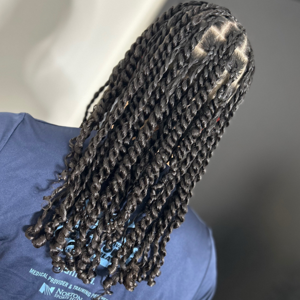 Two Strand Twists + Braided Base at Eden Holistic Hair in Hendersonville, TN