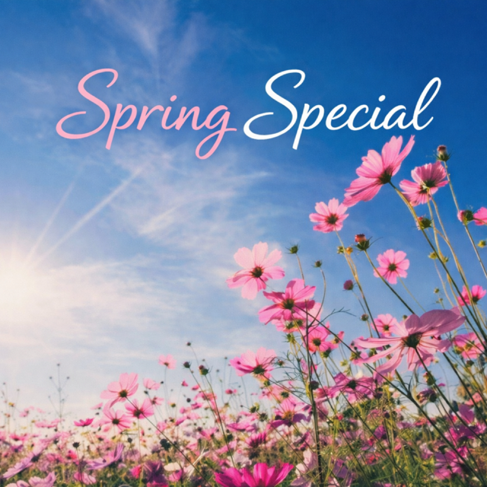 Spring Special at Hair By Selene in Chino Hills, CA