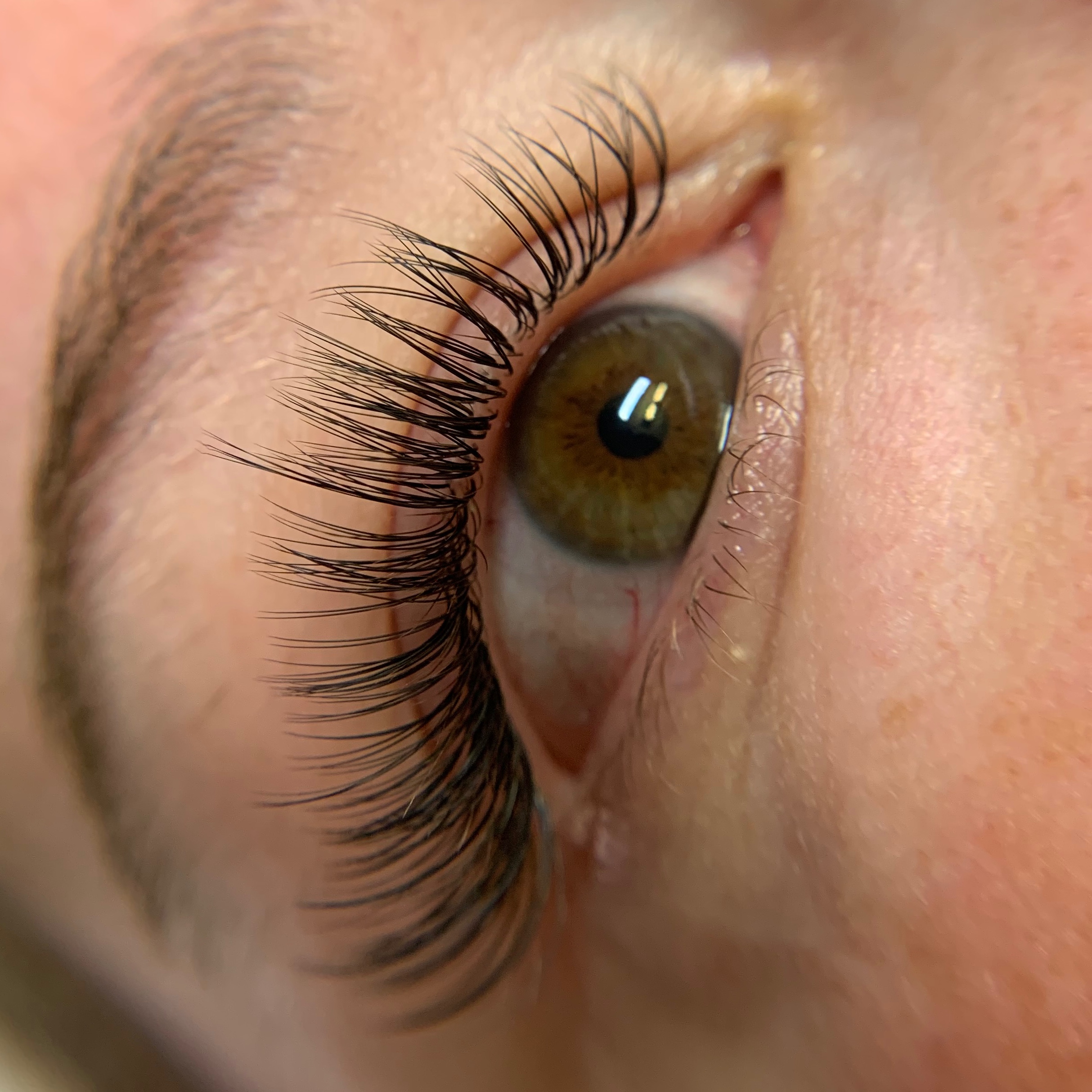 Classic Lash Full Set at Llash in Westford, MA