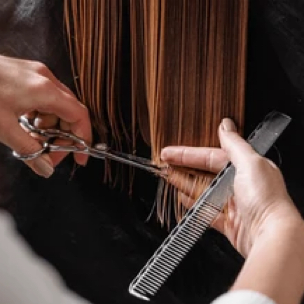 Wash, Haircut, Style at Luxe Beauty Salon LLC in Covington Township, PA