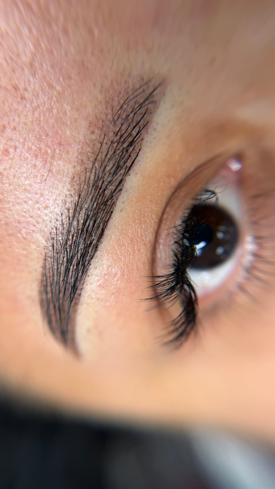 Powder Brows 3-6 Months Touch Up at Rojina Brow Studio in Doylestown, PA