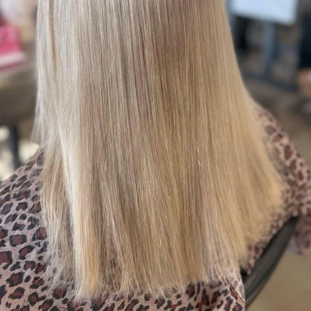 Dry Trim (no style or wash) at Styled By Mollie in Columbus, IN