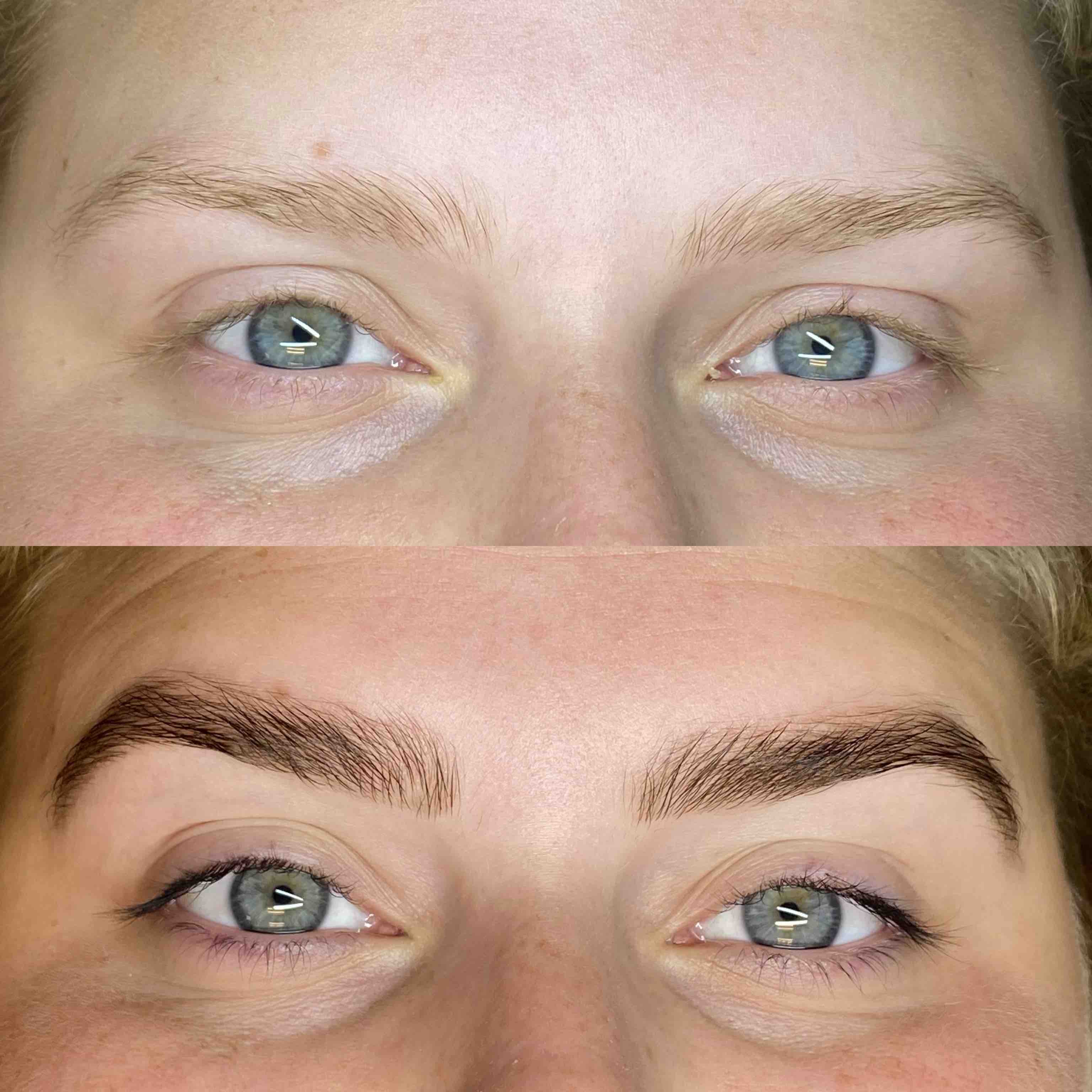 Lash and Brow Tint Package