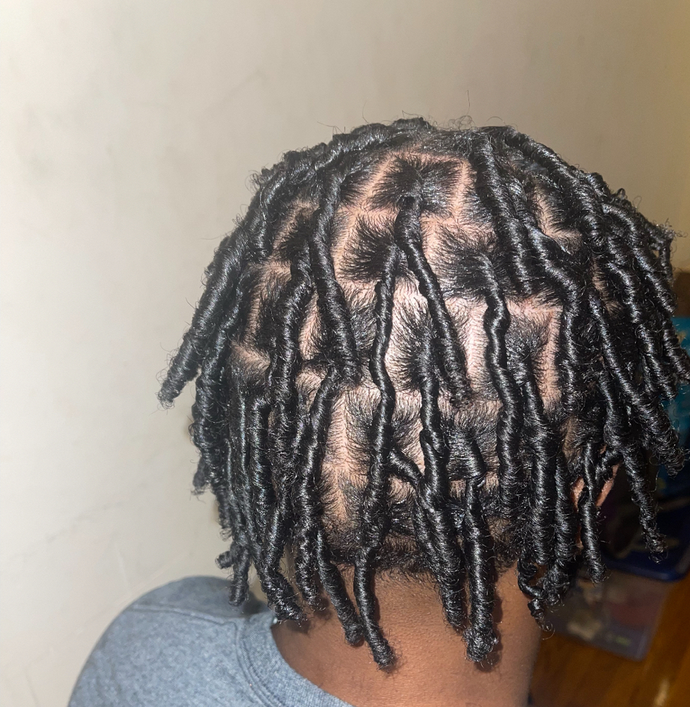 Starter Locs