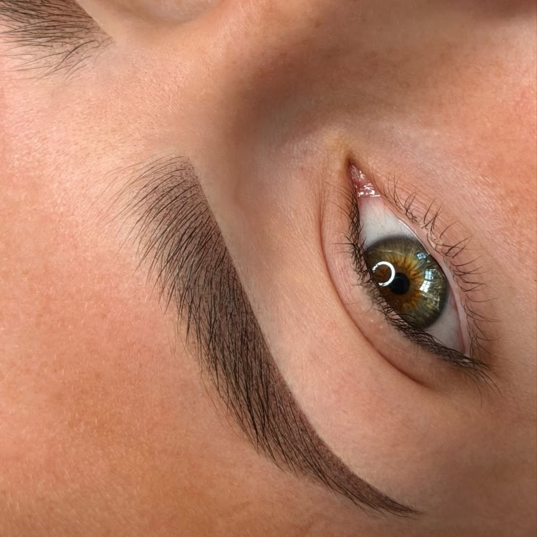 POWDER BROWS at jennifer montoya studio in North Miami Beach, FL