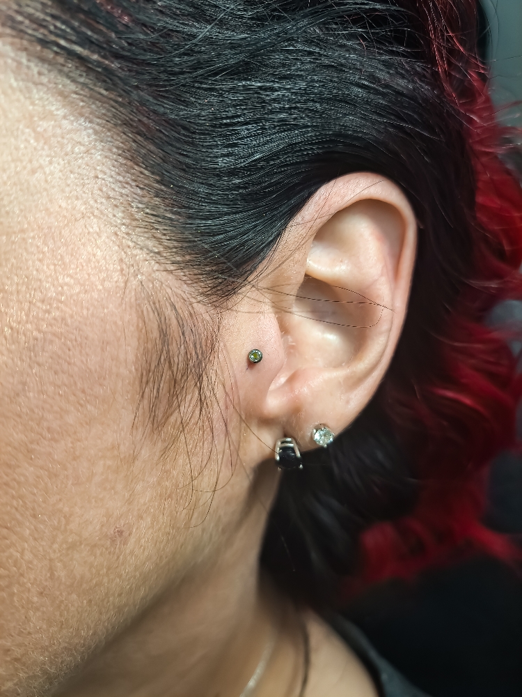 Tragus