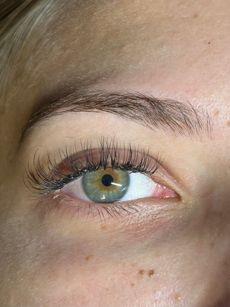 Classic Lashes