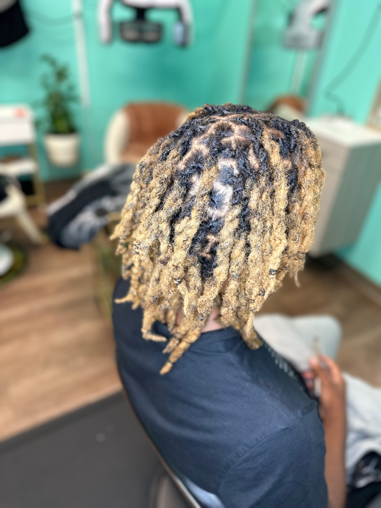 Comb Retwist +  Twists