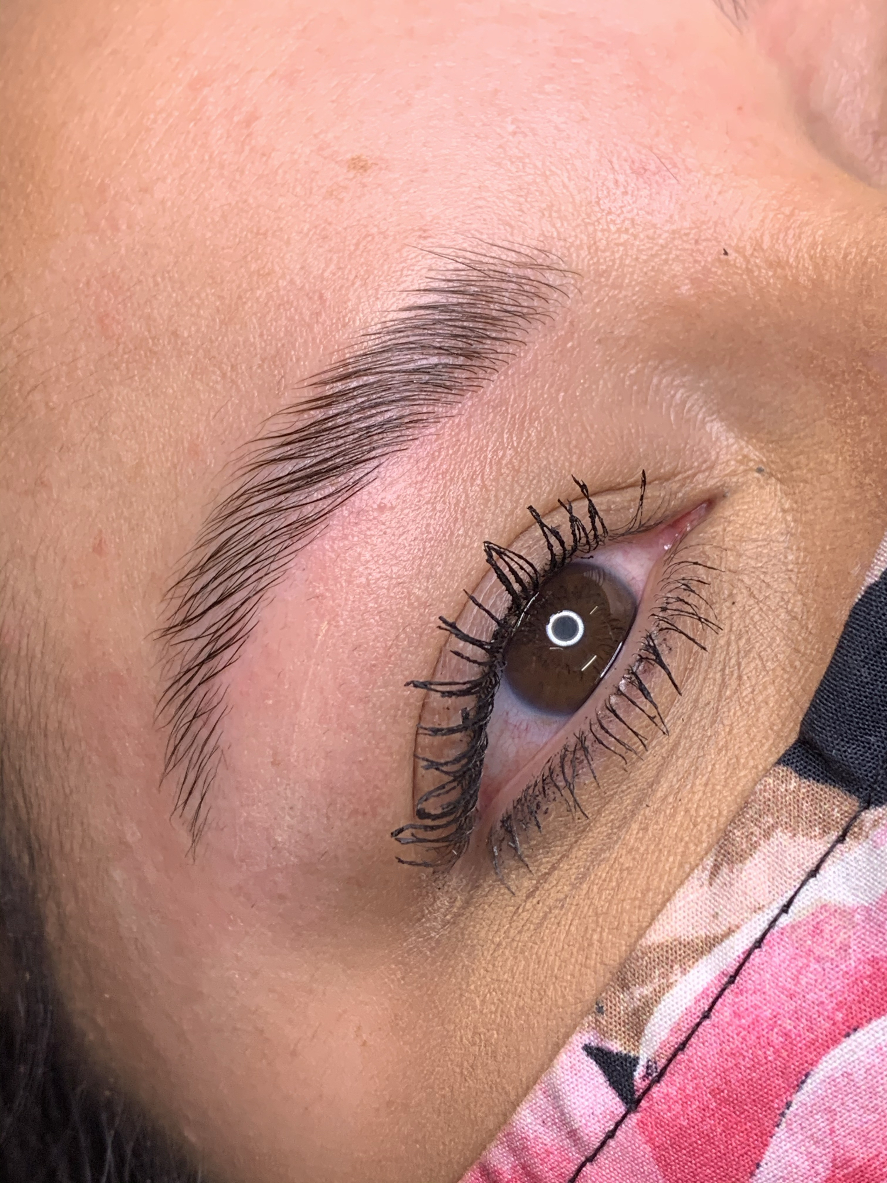 Brow Lamination