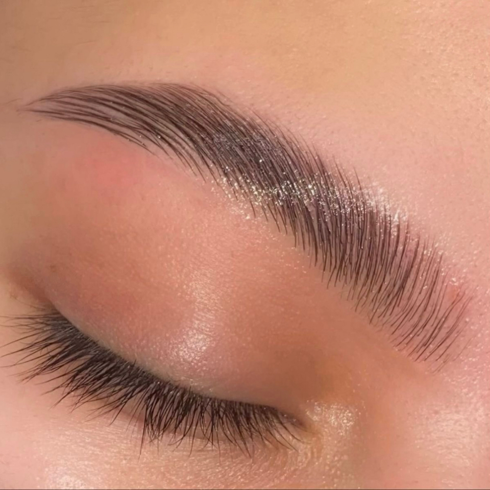 Brow Lamination/Shape at Beauty Brows Center LLC in Tampa, FL