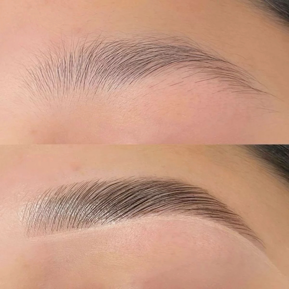 Brow Lamination/Shape at Beauty Brows Center in Tampa, FL