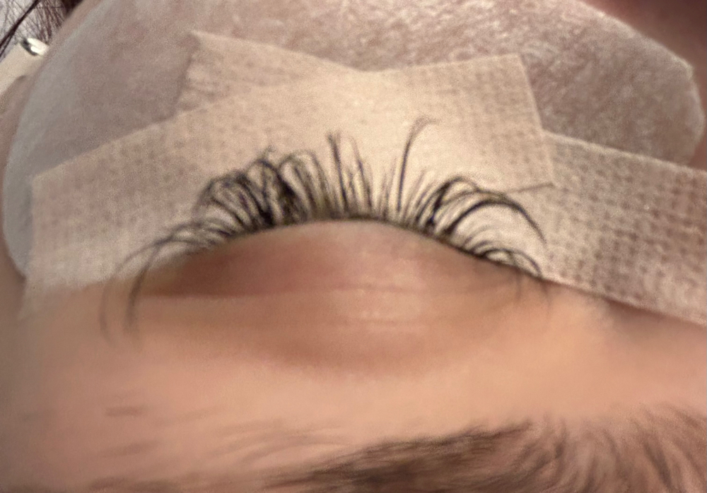 Lash Fill In