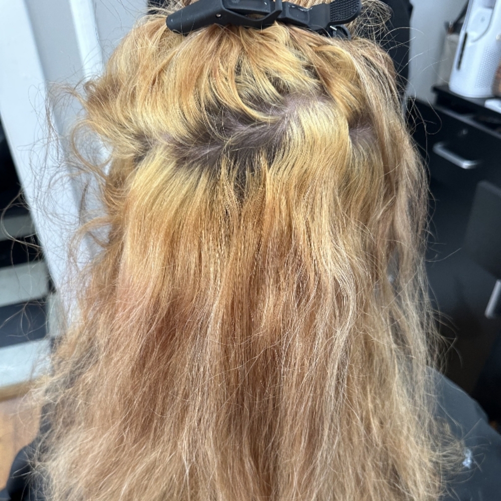 Color Correction at Haley Morgan Hair in Tullahoma, TN