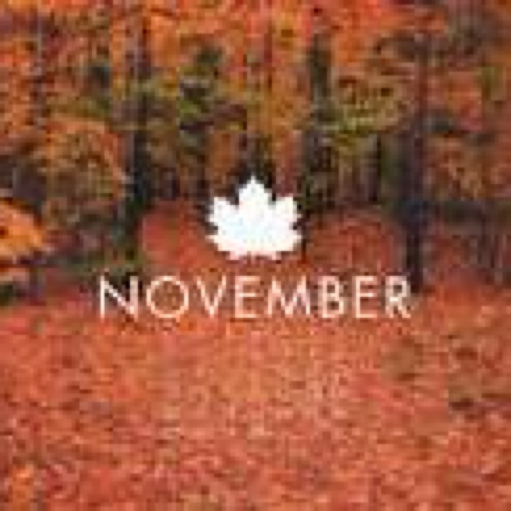 November Brazilian Special at Bailey’s Body Waxing LLC in Wausau, WI