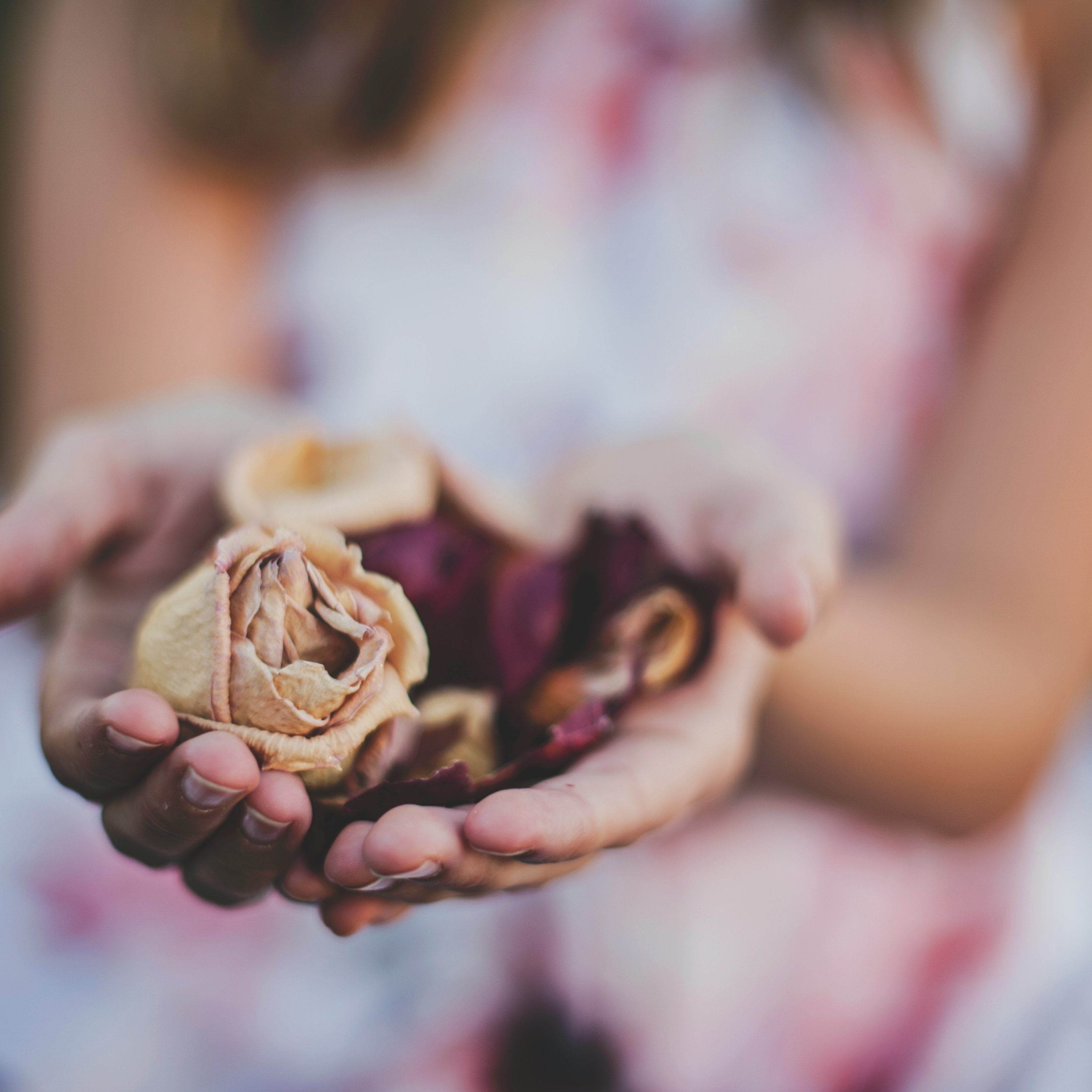 90-Minute Intuitive Reiki at Sacred Space Beauty & Wellness Massage & Facials in Eau Claire, WI