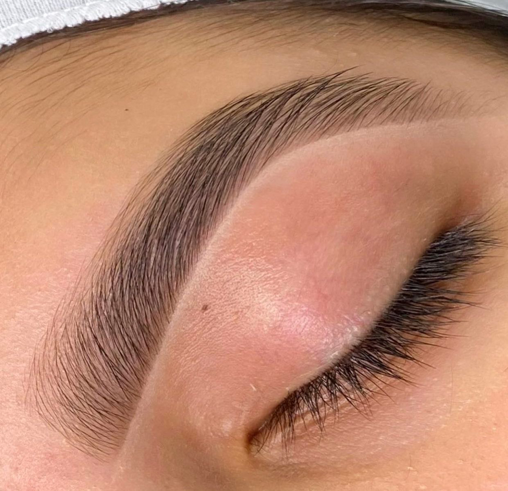 Brows Waxing (2-4 Weeks growth)