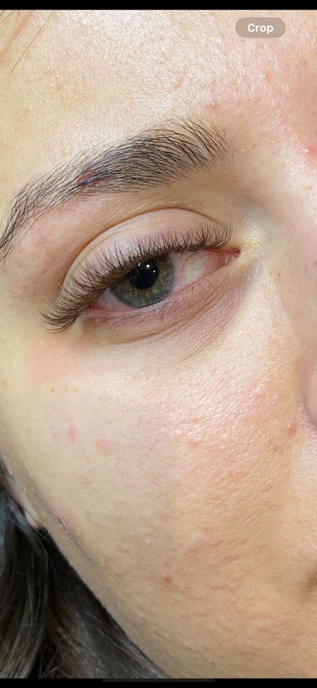Lash Fill 2 Week (60 Min)