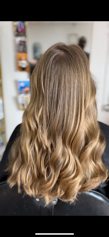 Shampoo / Cut / Style