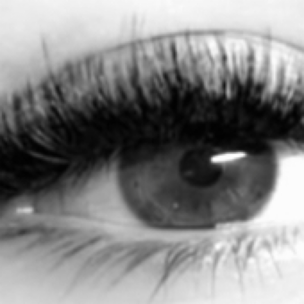 Full Volume Fill at Luxe Lash Studio by Mimi in Wilmette, IL