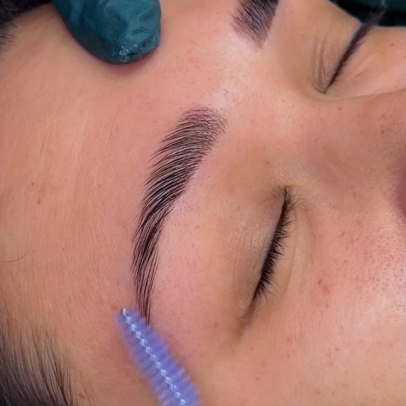 Hybrid Brow Dye & Wax at The Opal Loft in Grand Blanc, MI
