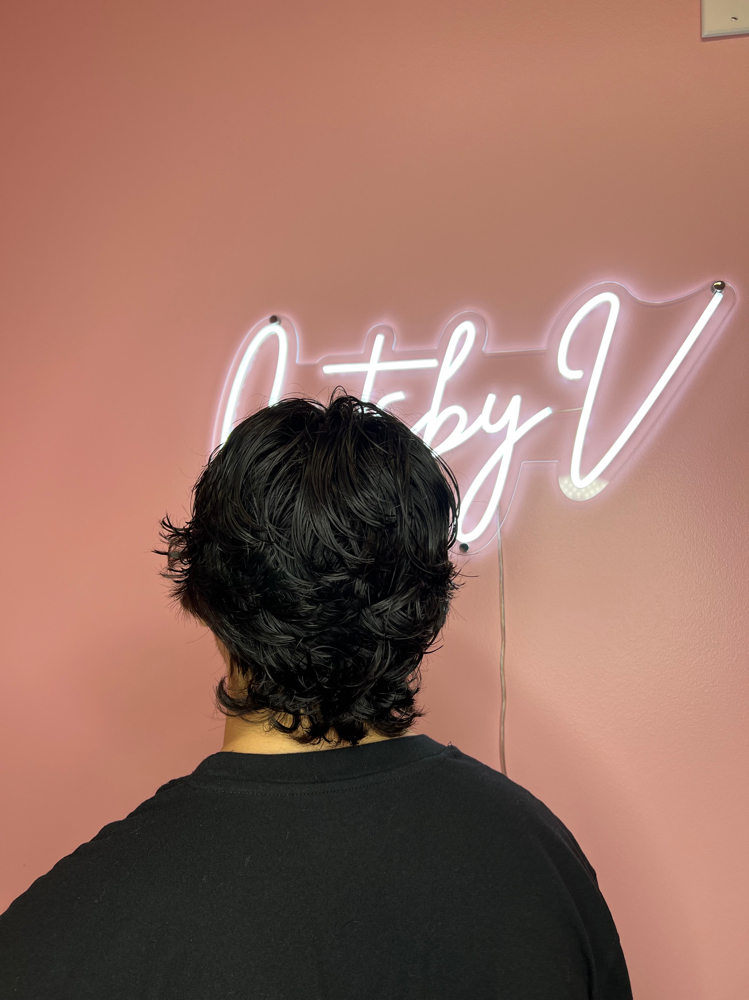 Mens Haircut LONG HAIR/ SCISSOR CUT