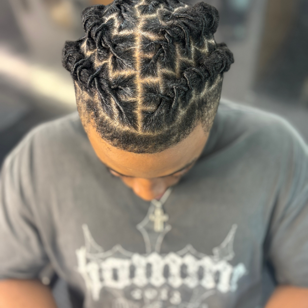 Loc Treatment + Retwist – Hydrate at Melodic Roots & Wellness in Windsor Mill MD, MD