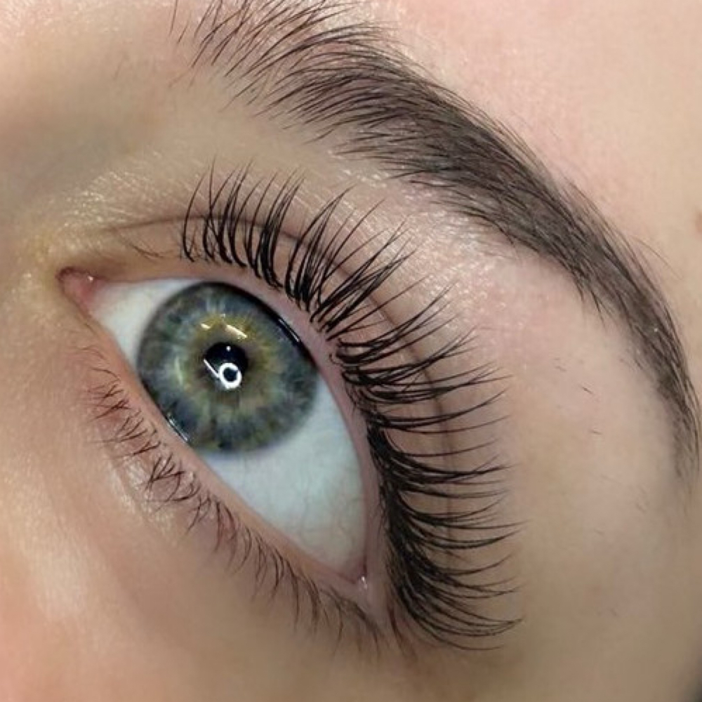Lash Extentions- Model Pricing at Wild Roots Salon in Dayton, TX
