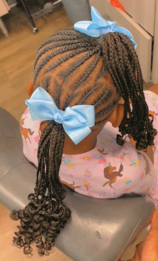 Braided Ponytails