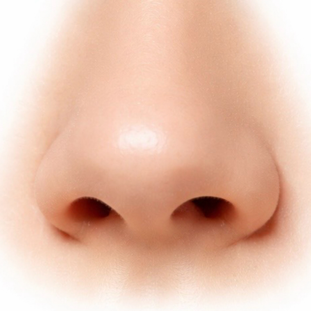 Nose Wax at Hailey Haugenoe in Williston, ND