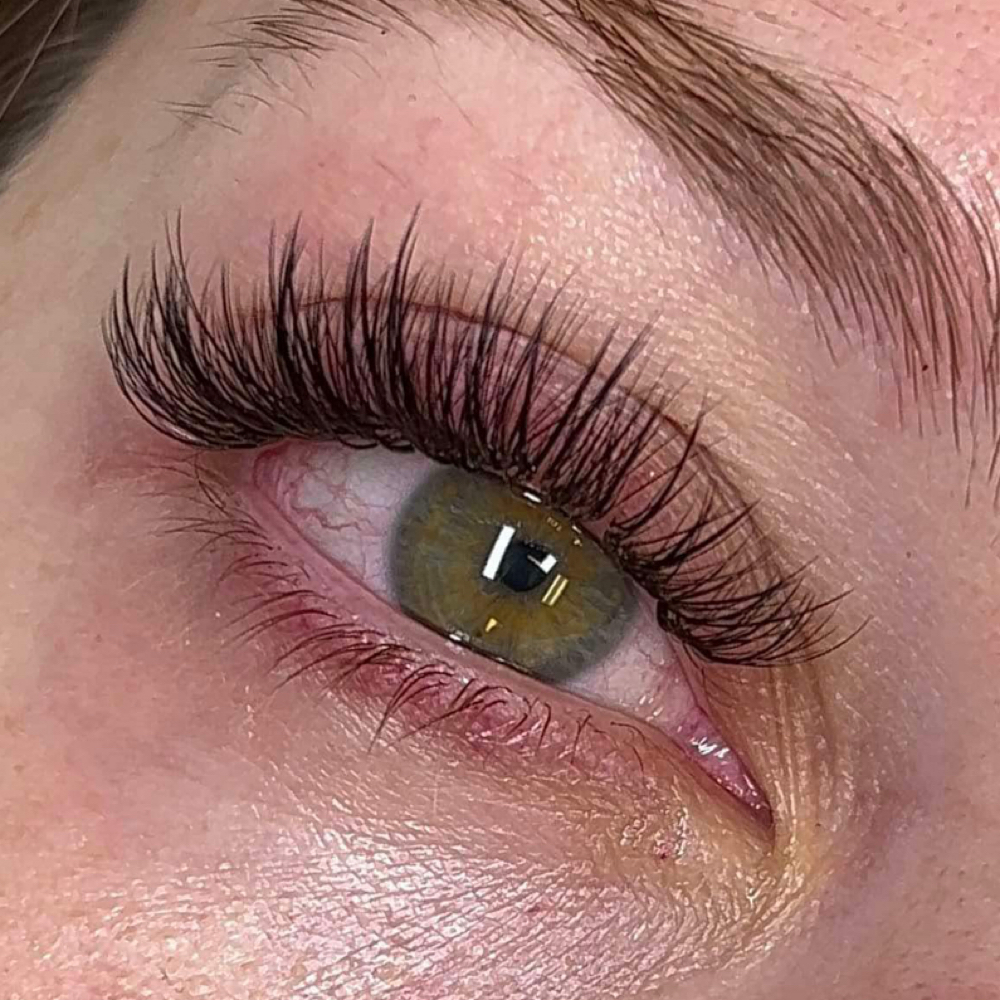 Customized Lash Extensions at Salon Niche in Knoxville, TN