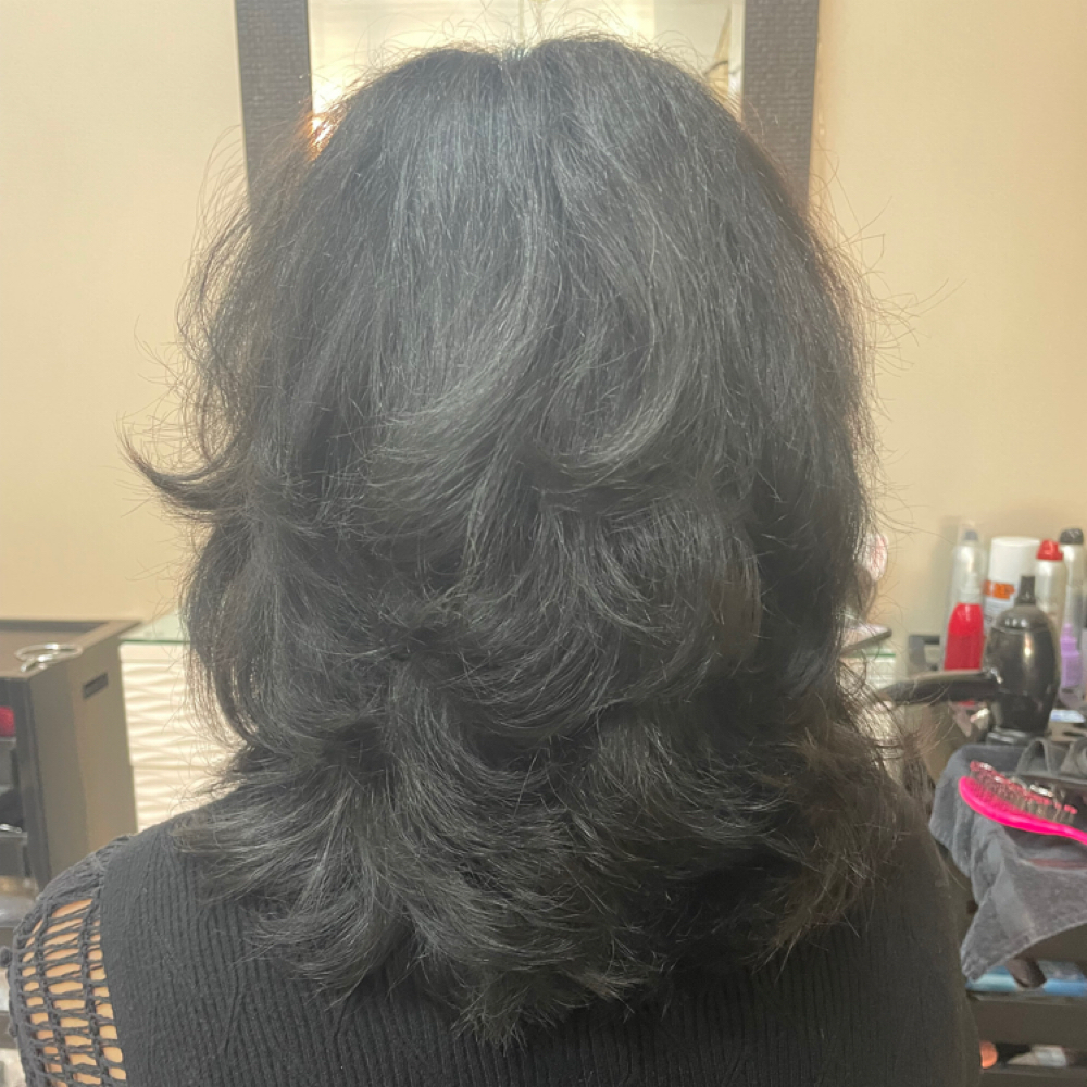 Womens Haircut at Studio D Hair Salon in Bay City, MI