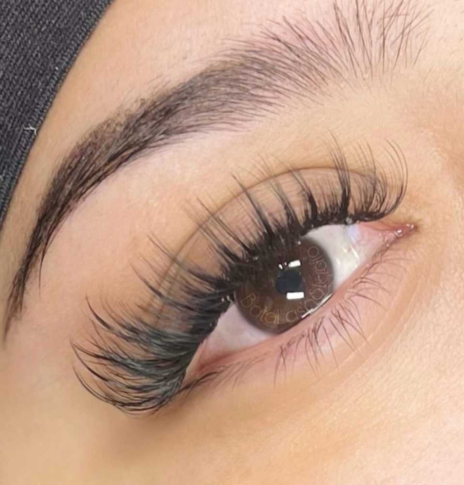 Lash Artist Choice Freestyle