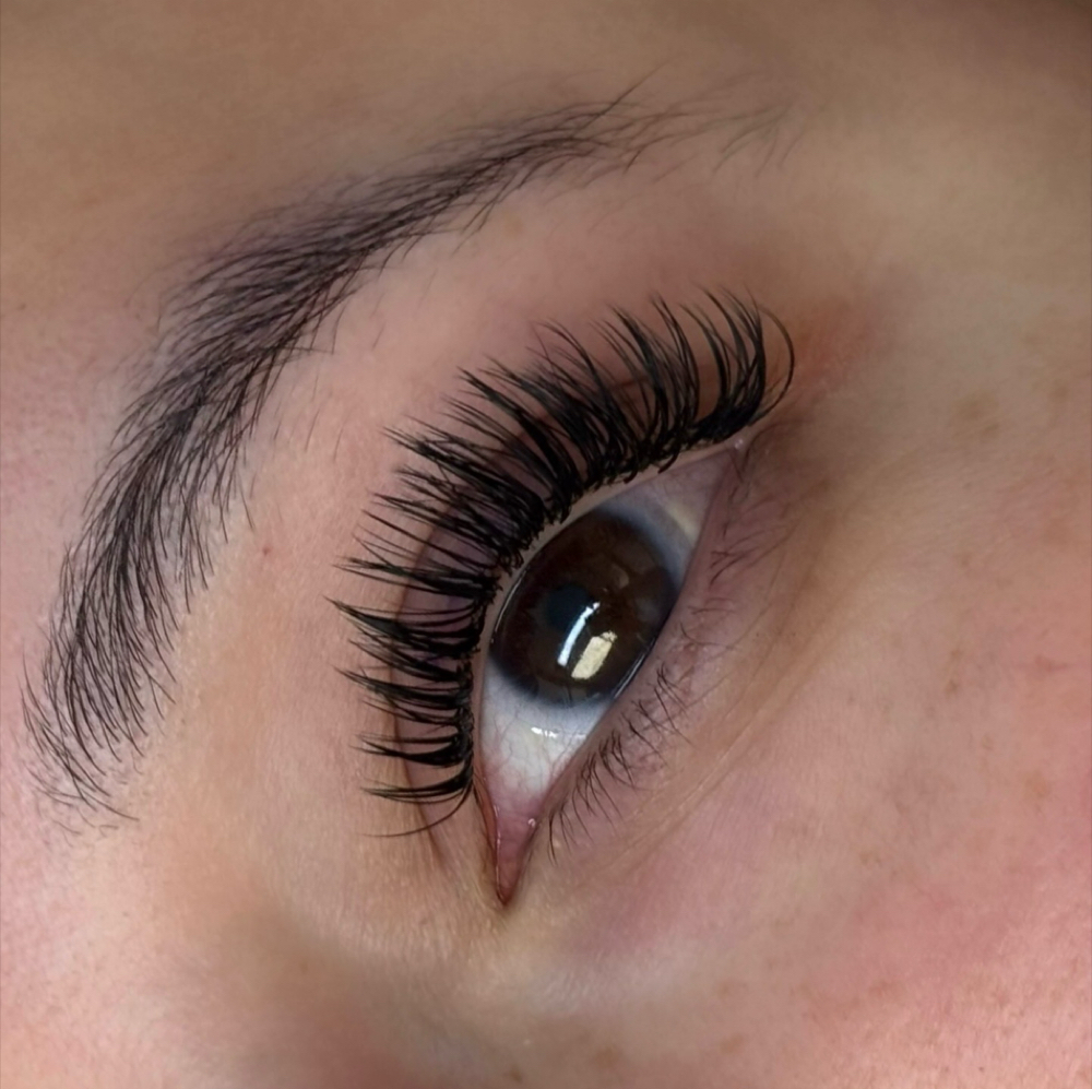 Standard Lash Refill