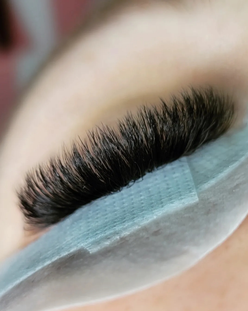 Mega 2 week fill at The Lash Lady in Twin Falls, ID