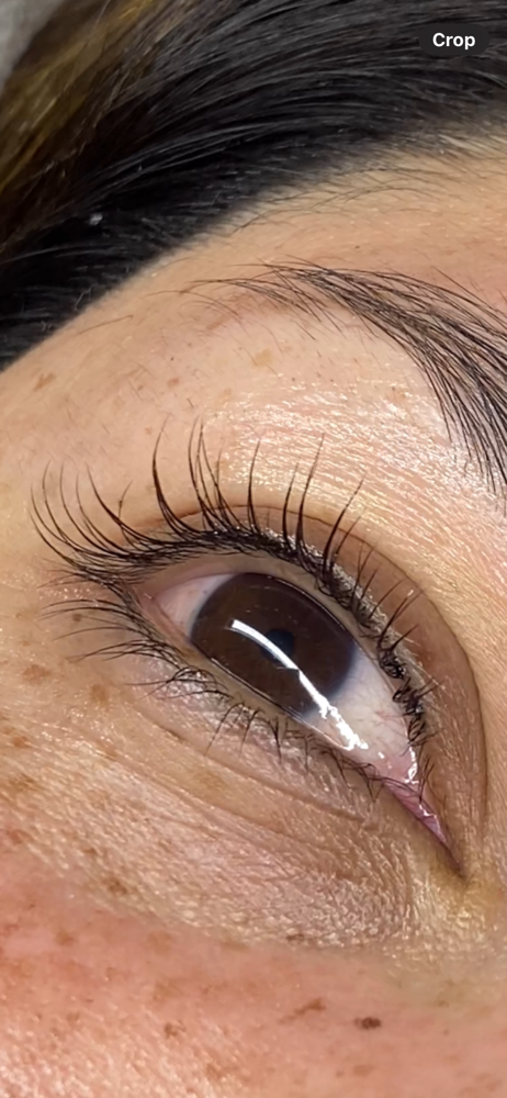 Lash Lift & Tint