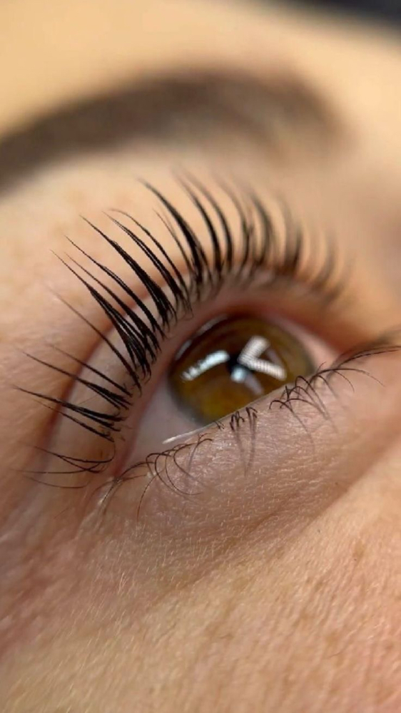 Lash Tint