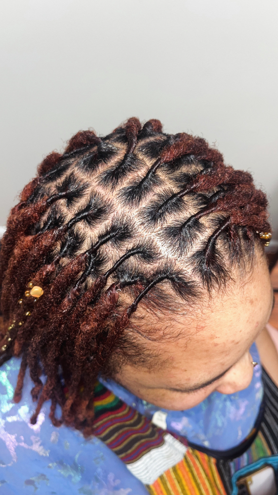 Wash/Retwist at Locsoflevitia in Suite 170, MI