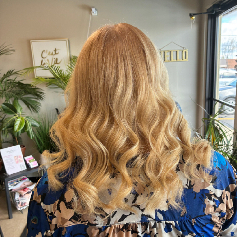 All Over Color (one Color) at LK Hair in Nappanee, IN