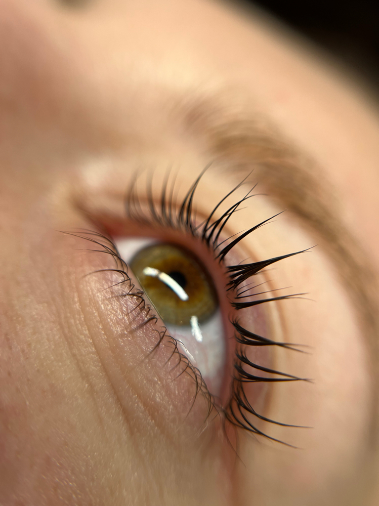 Lash Tinting at Dina Staroverova in Fair Oaks, CA