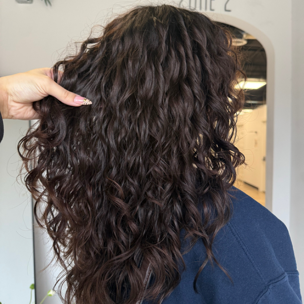 curlycut at hairfairystephh in FortWorth, TX