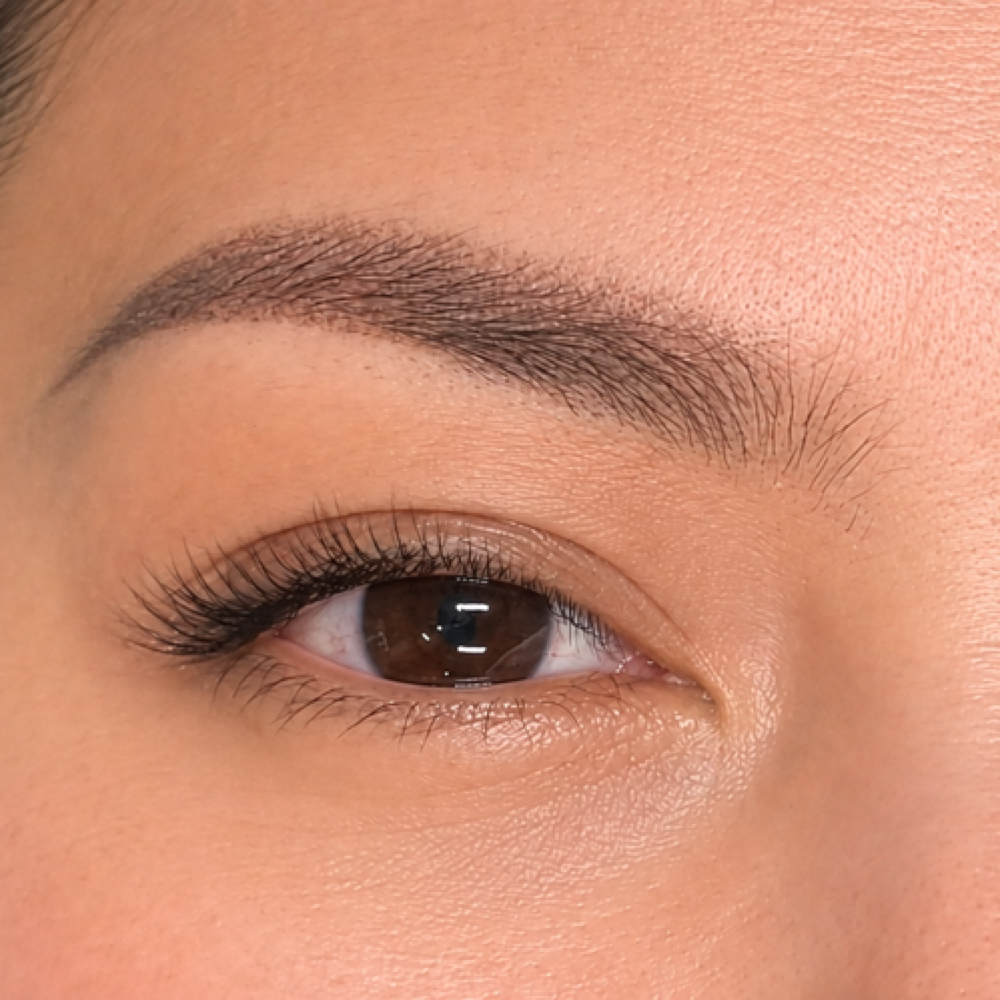 Powder/shading Eyebrows at Miabrows  Salon in San Rafael, CA