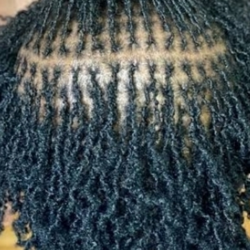 Micro Locs Install at Royalty Envision Salon&spa llc in Tobyhanna, PA