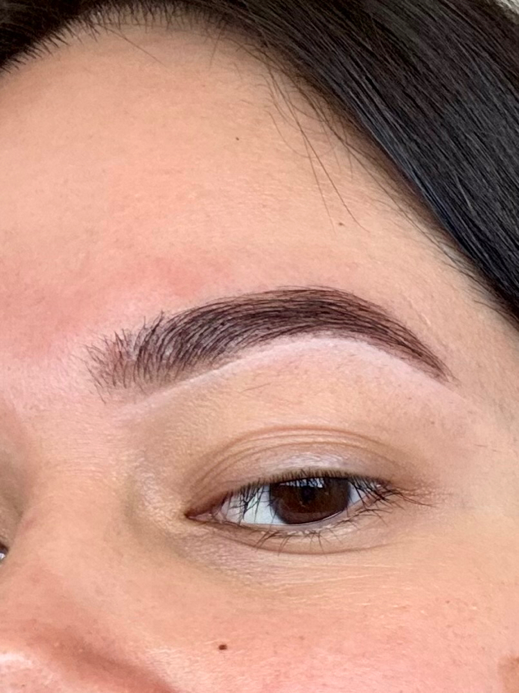 Hybrid Brow Stain