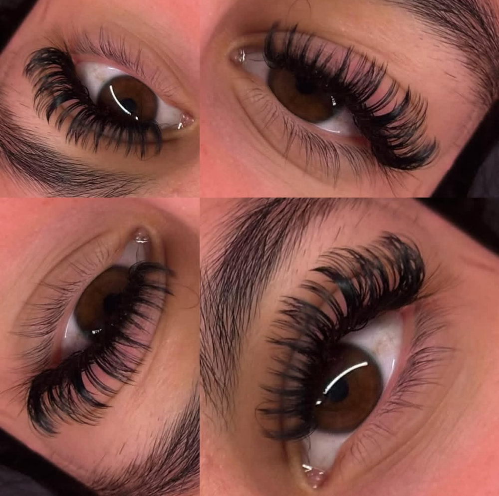 Wet Set Lash 2 Week Fill